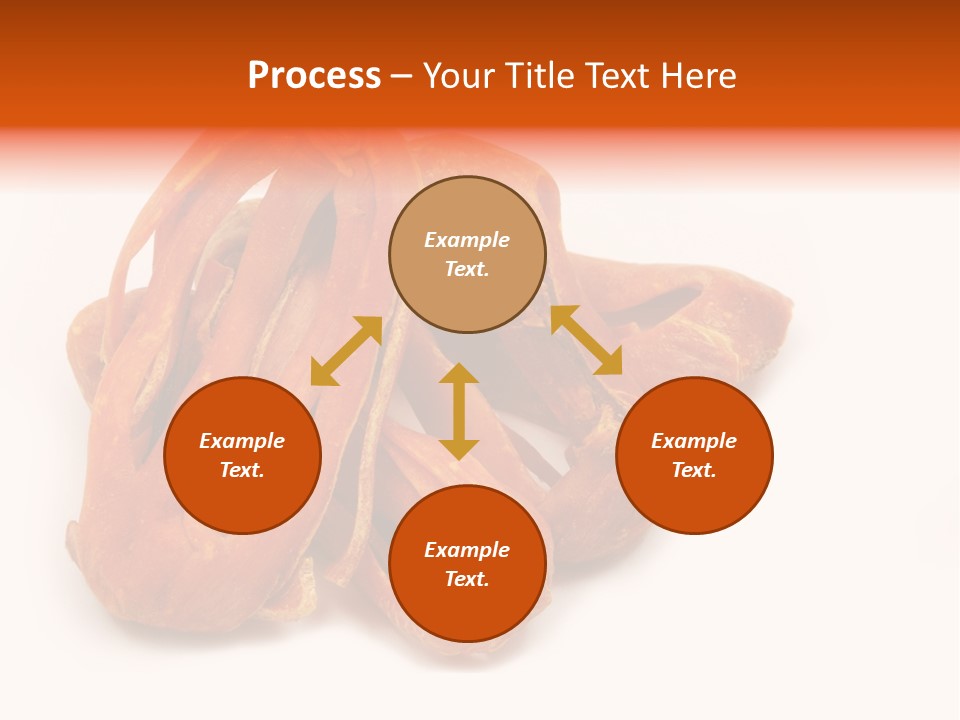 Indian Background Shell PowerPoint Template