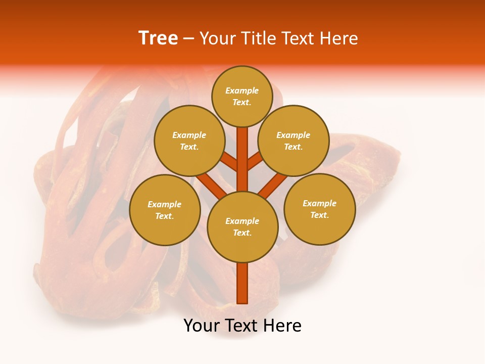 Indian Background Shell PowerPoint Template