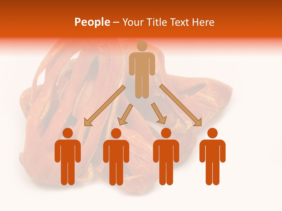 Indian Background Shell PowerPoint Template