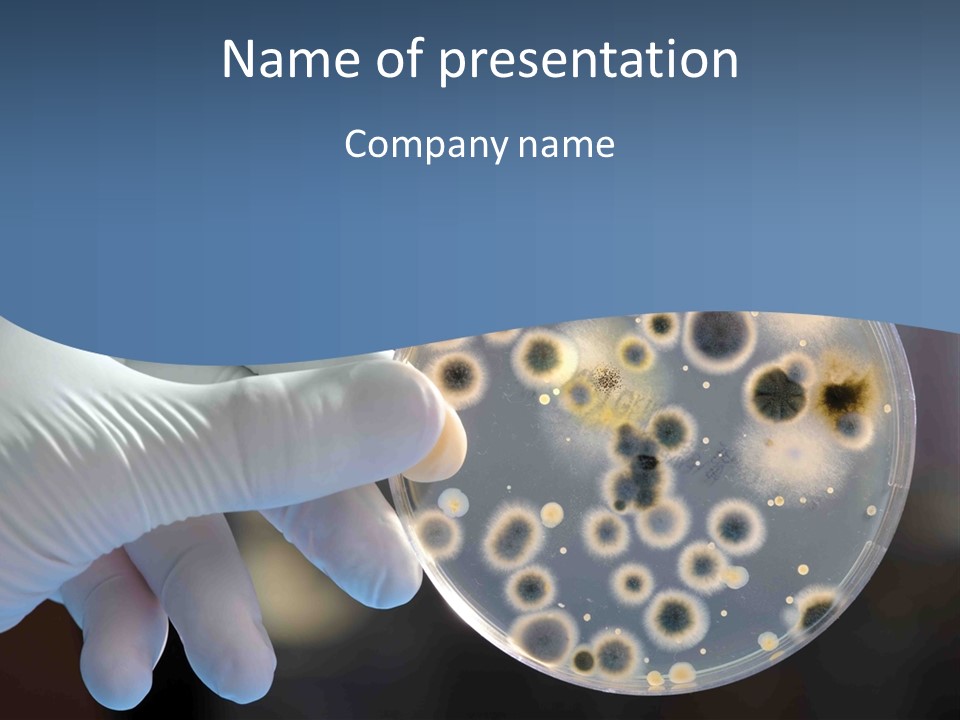 A Person In White Gloves Holding A Magnifying Glass PowerPoint Template