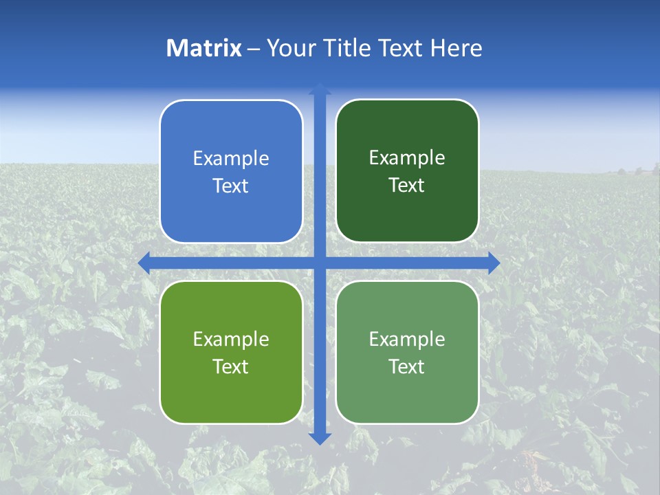 Floor Stove House PowerPoint Template