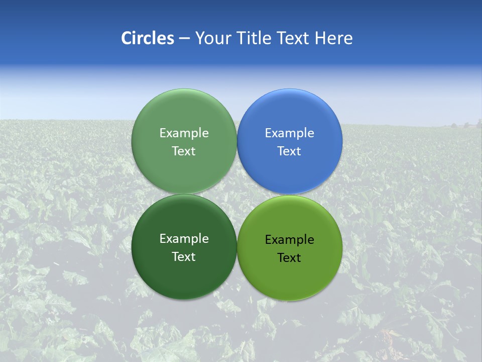 Floor Stove House PowerPoint Template