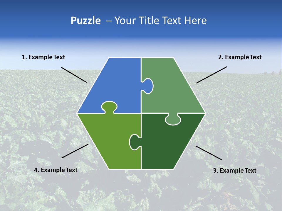 Floor Stove House PowerPoint Template