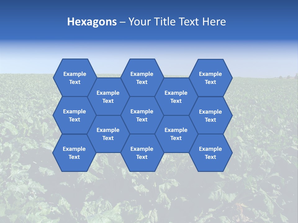 Floor Stove House PowerPoint Template