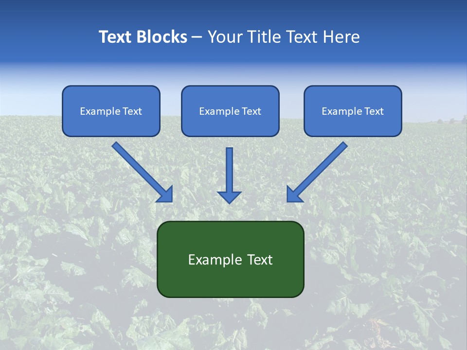 Floor Stove House PowerPoint Template