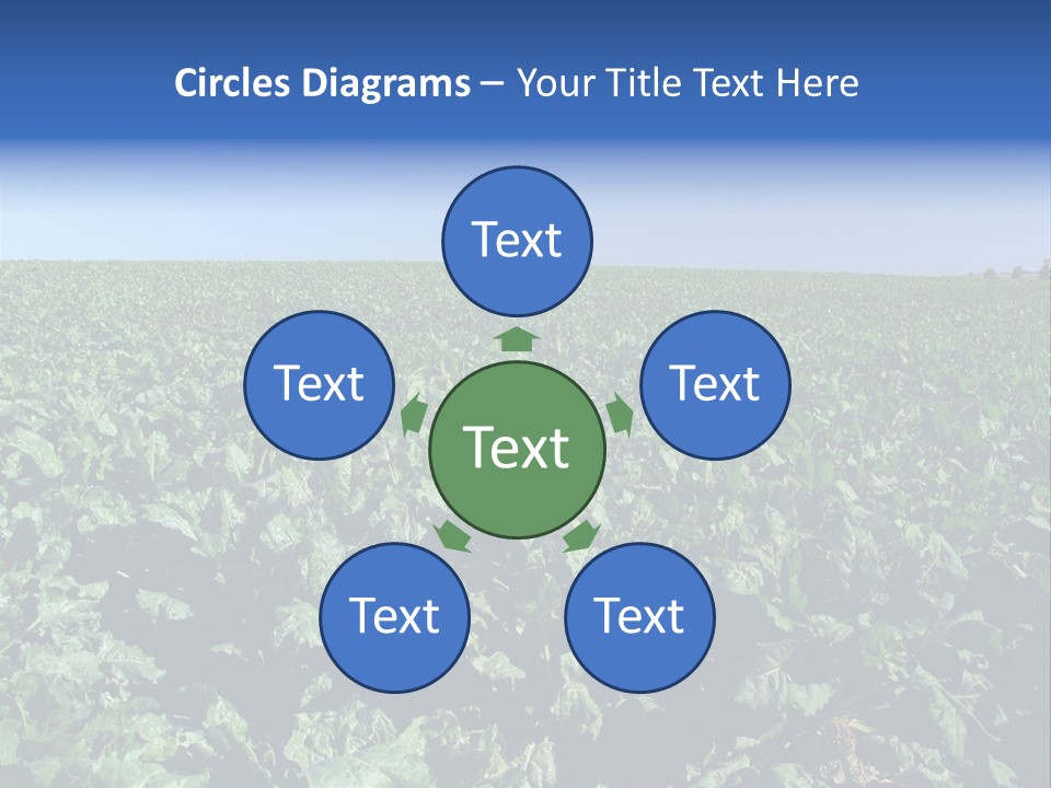 Floor Stove House PowerPoint Template