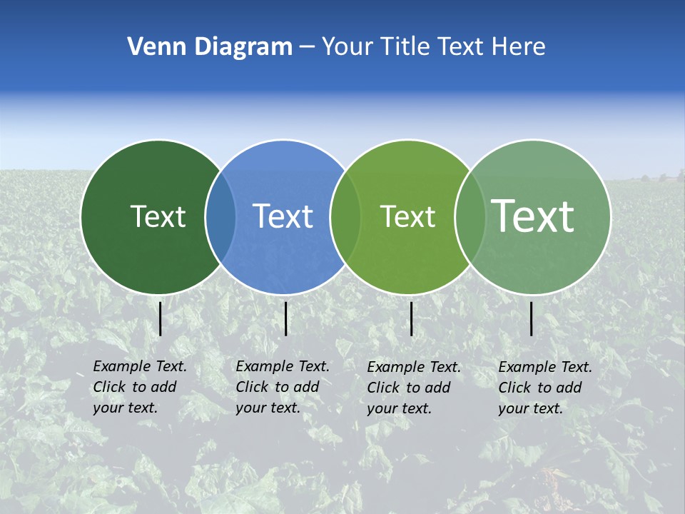 Floor Stove House PowerPoint Template