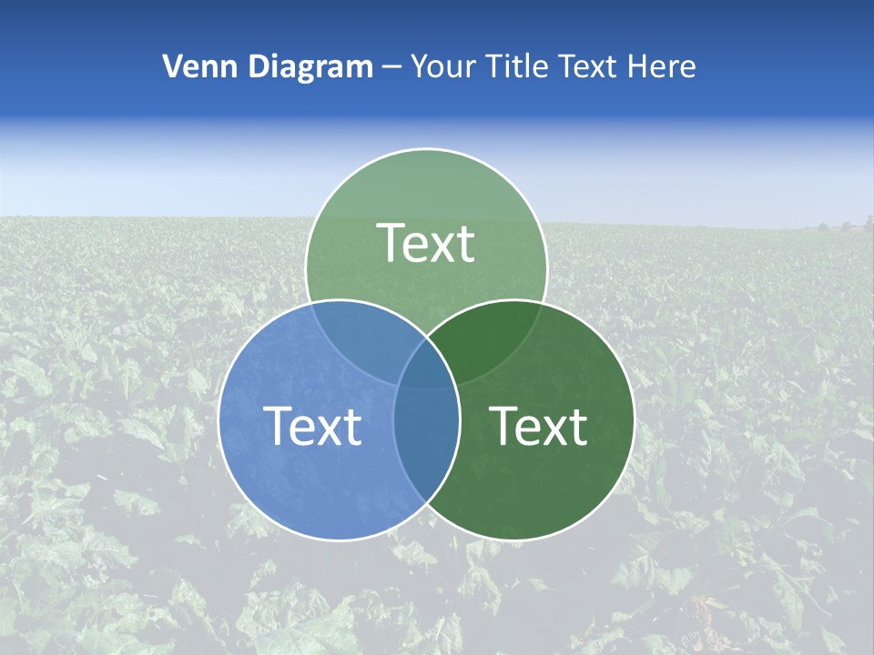 Floor Stove House PowerPoint Template