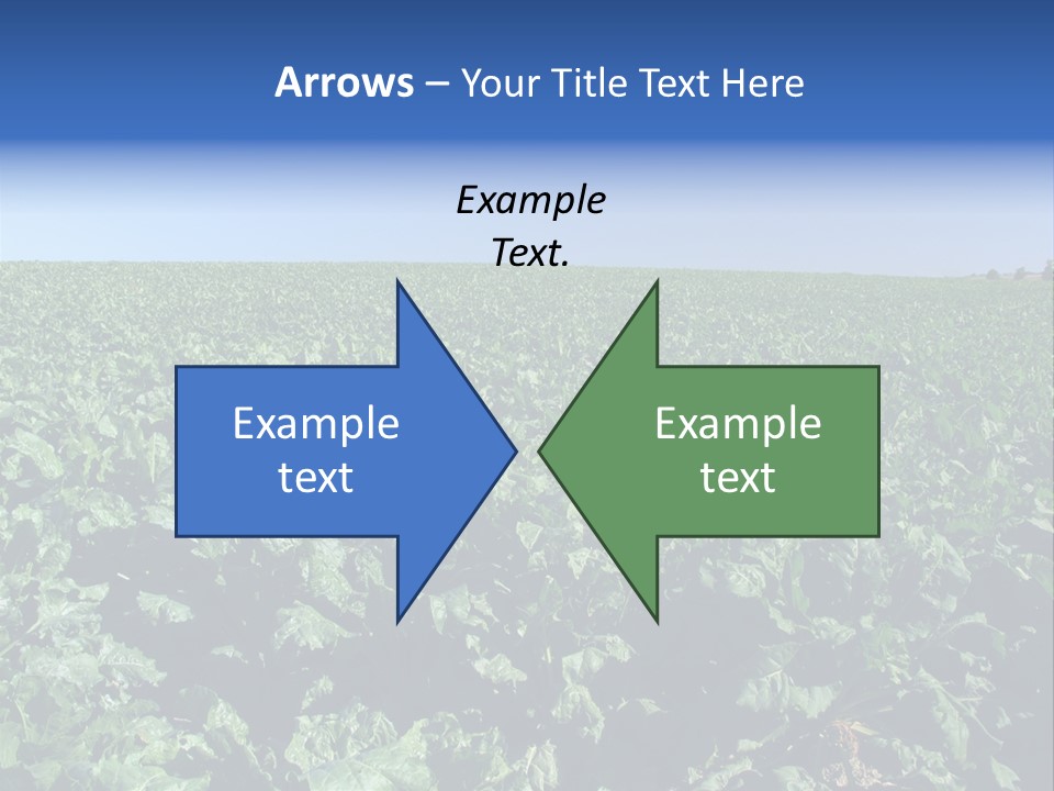 Floor Stove House PowerPoint Template