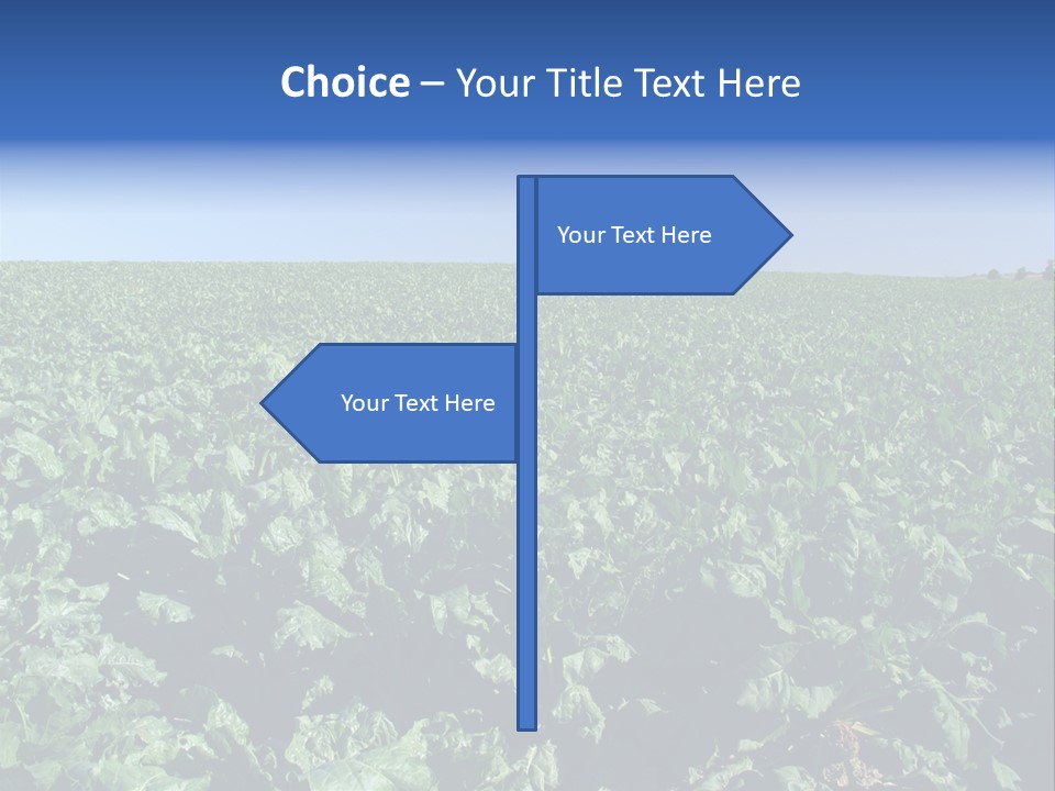 Floor Stove House PowerPoint Template