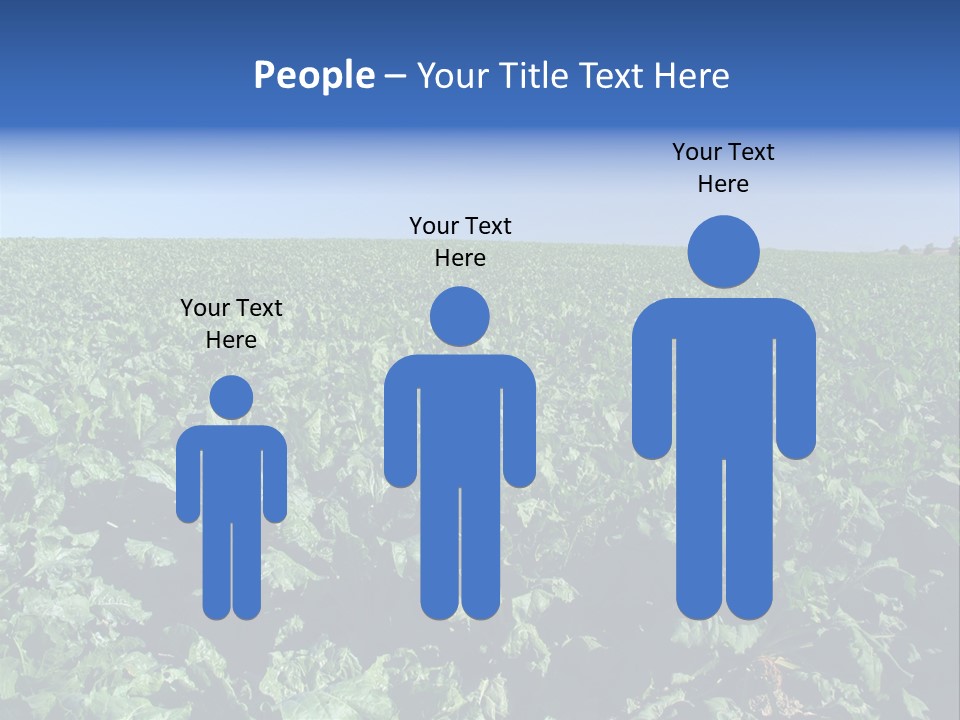 Floor Stove House PowerPoint Template