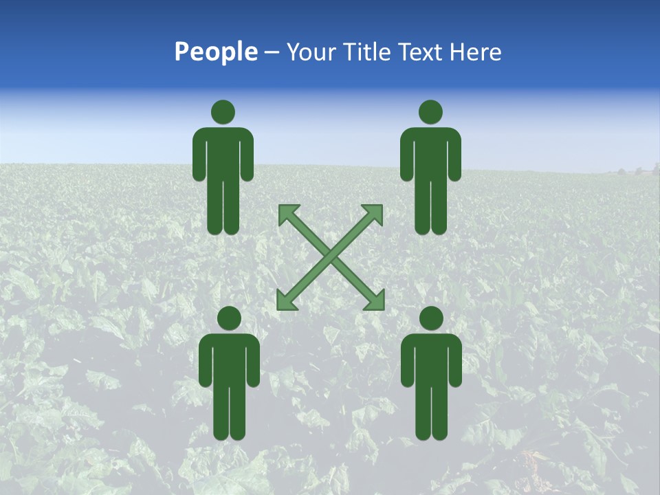 Floor Stove House PowerPoint Template