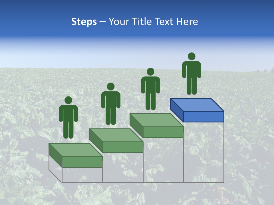 Floor Stove House PowerPoint Template