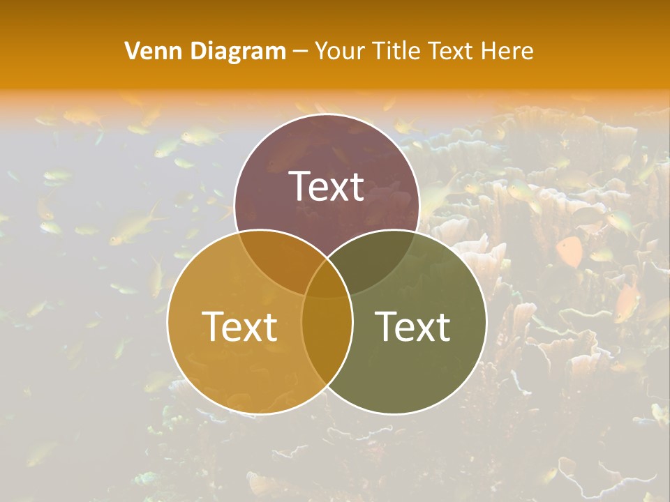 Watersports Underwater Summer PowerPoint Template