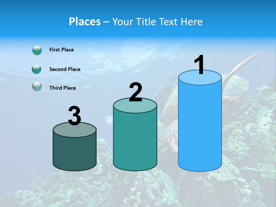 A Turtle Swimming Over A Coral Reef In The Ocean PowerPoint Template