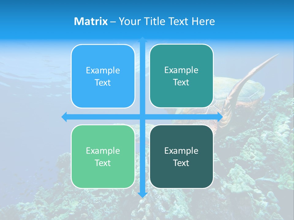 A Turtle Swimming Over A Coral Reef In The Ocean PowerPoint Template