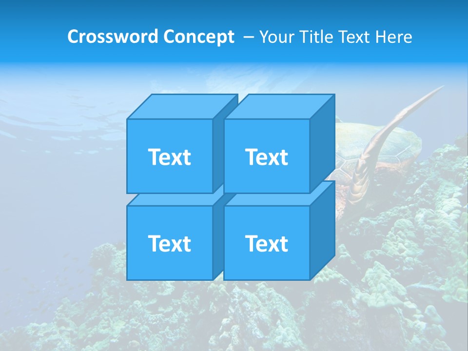 A Turtle Swimming Over A Coral Reef In The Ocean PowerPoint Template