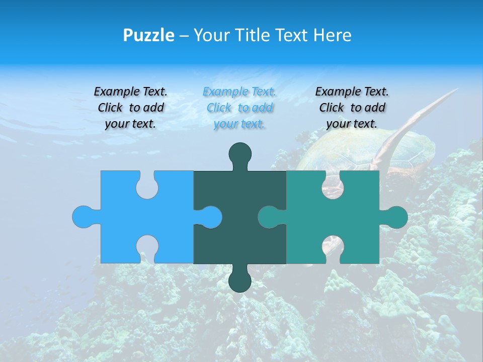 A Turtle Swimming Over A Coral Reef In The Ocean PowerPoint Template