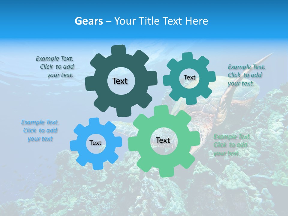 A Turtle Swimming Over A Coral Reef In The Ocean PowerPoint Template