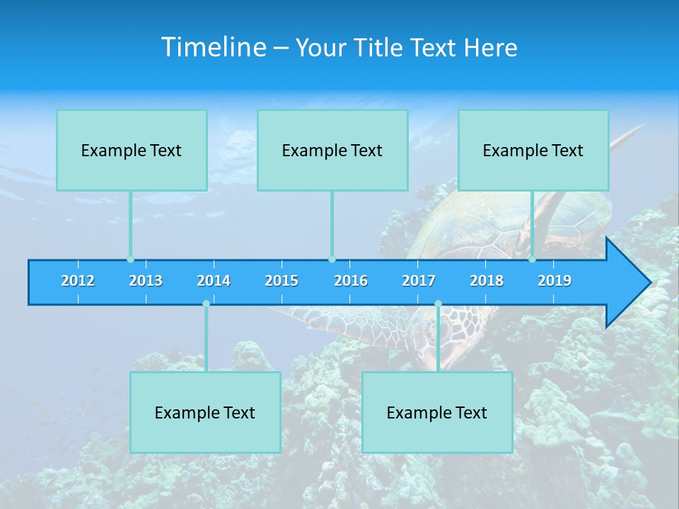 A Turtle Swimming Over A Coral Reef In The Ocean PowerPoint Template