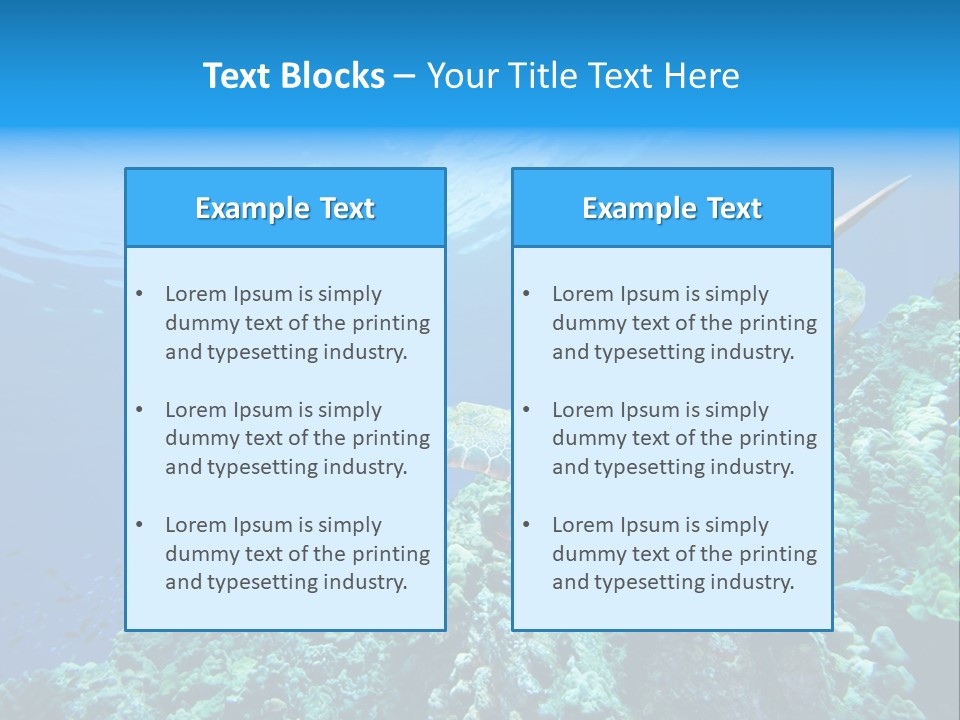 A Turtle Swimming Over A Coral Reef In The Ocean PowerPoint Template