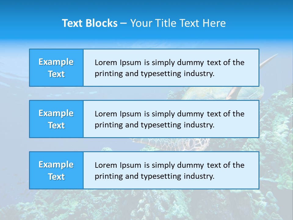 A Turtle Swimming Over A Coral Reef In The Ocean PowerPoint Template