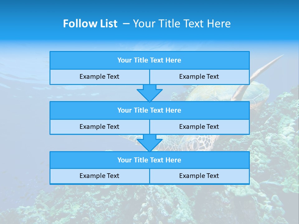 A Turtle Swimming Over A Coral Reef In The Ocean PowerPoint Template