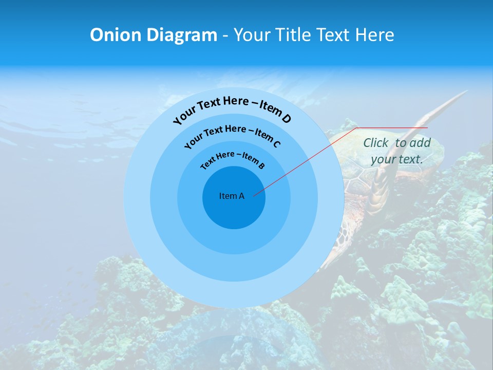 A Turtle Swimming Over A Coral Reef In The Ocean PowerPoint Template