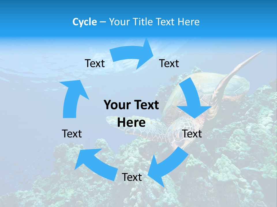 A Turtle Swimming Over A Coral Reef In The Ocean PowerPoint Template