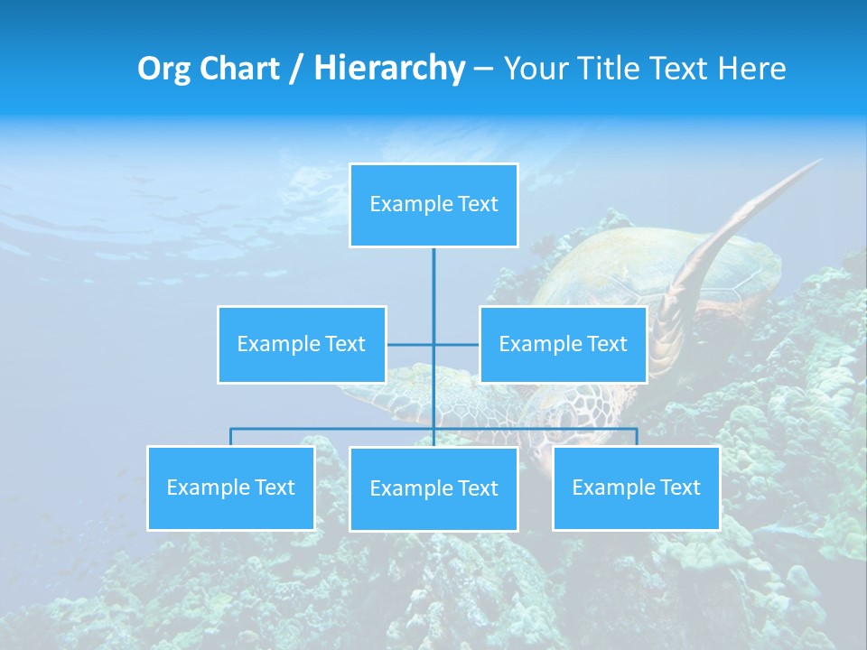 A Turtle Swimming Over A Coral Reef In The Ocean PowerPoint Template