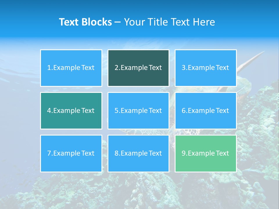 A Turtle Swimming Over A Coral Reef In The Ocean PowerPoint Template