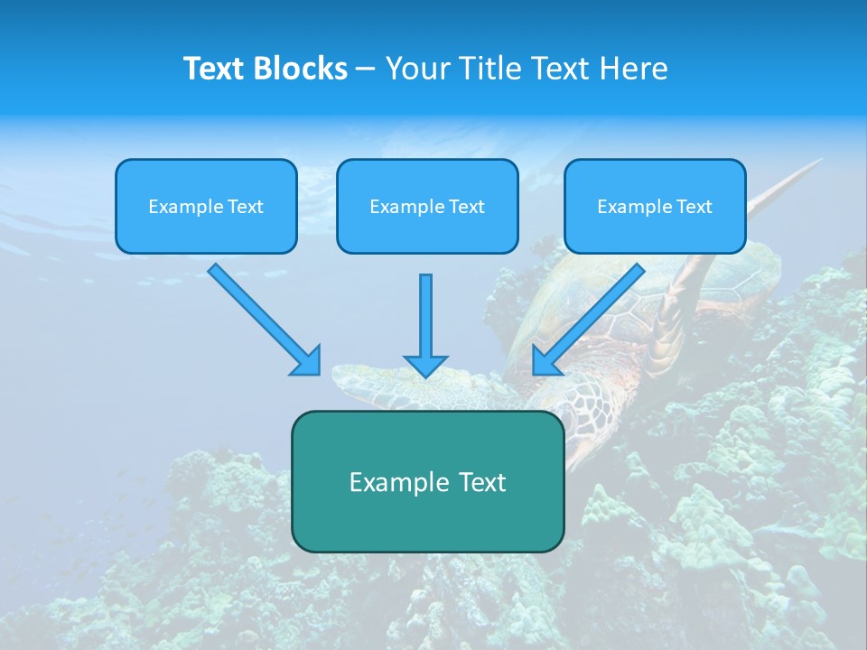 A Turtle Swimming Over A Coral Reef In The Ocean PowerPoint Template