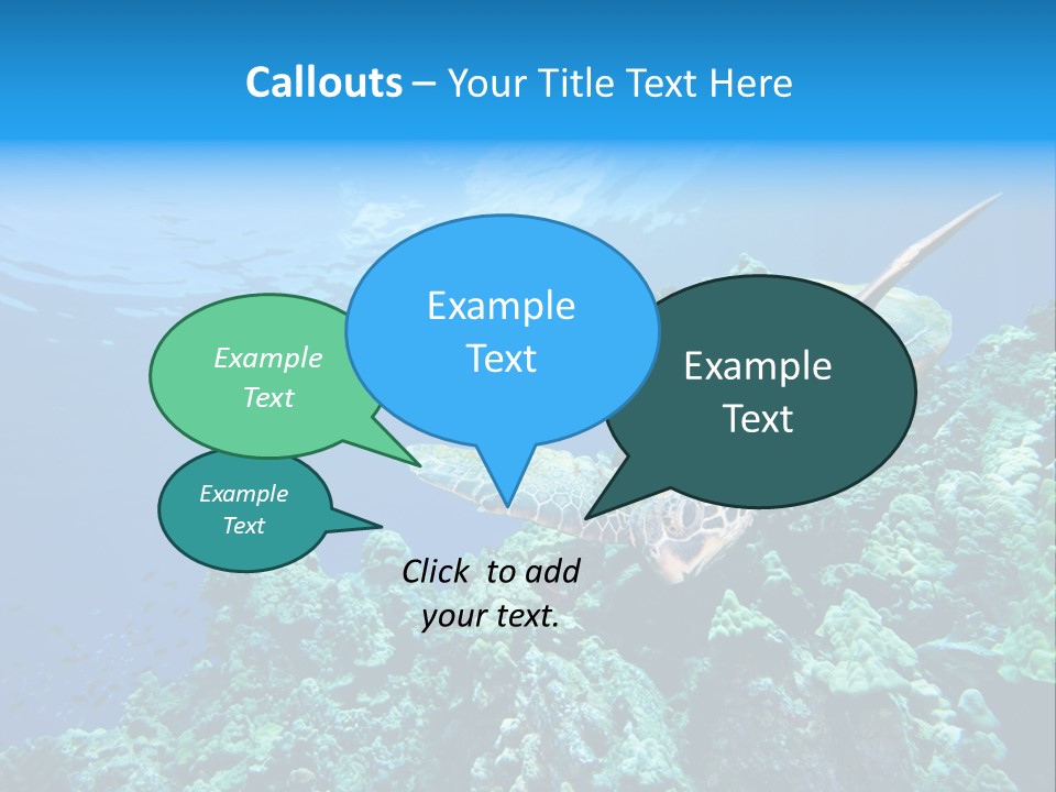 A Turtle Swimming Over A Coral Reef In The Ocean PowerPoint Template