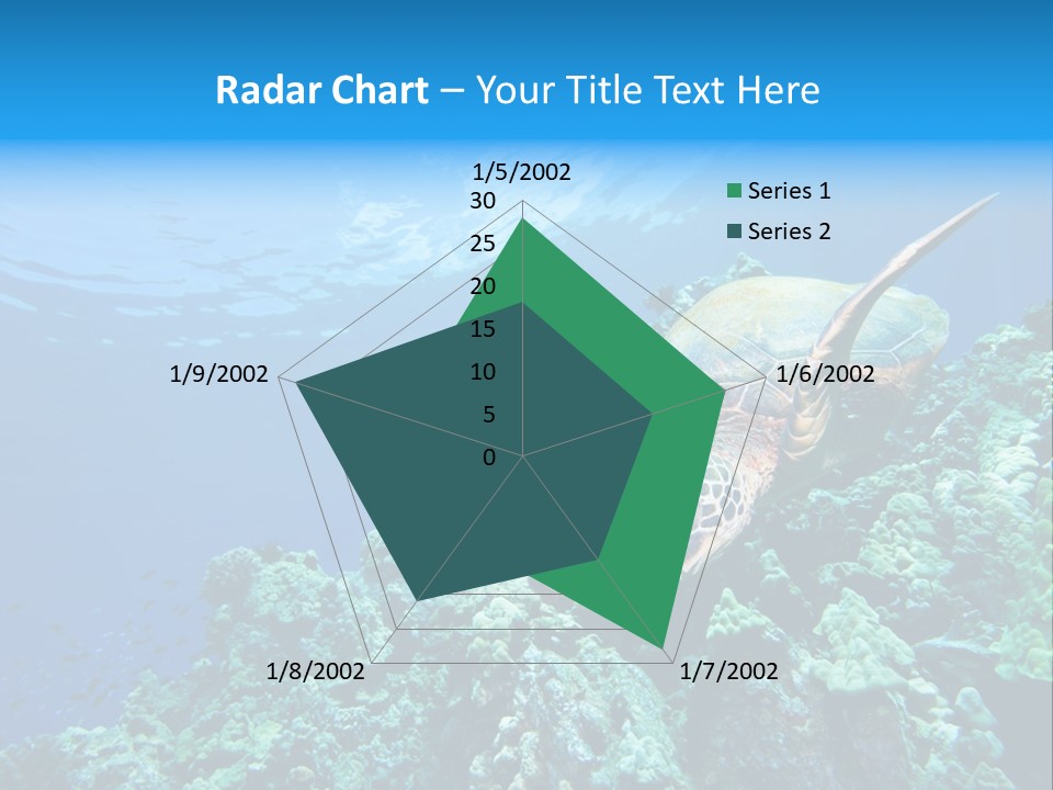 A Turtle Swimming Over A Coral Reef In The Ocean PowerPoint Template