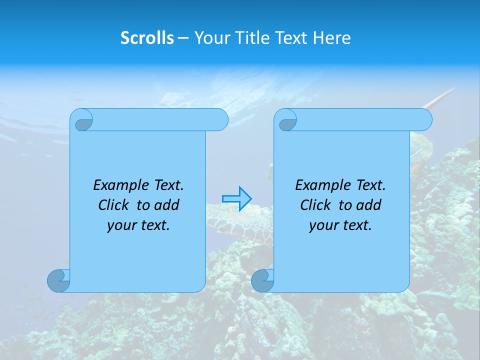 A Turtle Swimming Over A Coral Reef In The Ocean PowerPoint Template