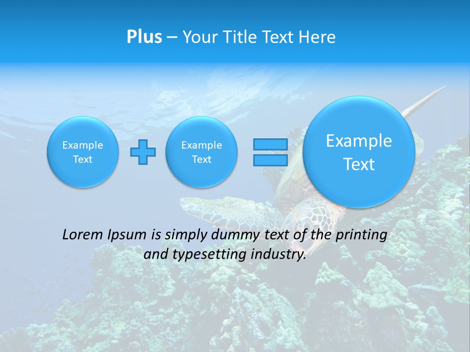 A Turtle Swimming Over A Coral Reef In The Ocean PowerPoint Template