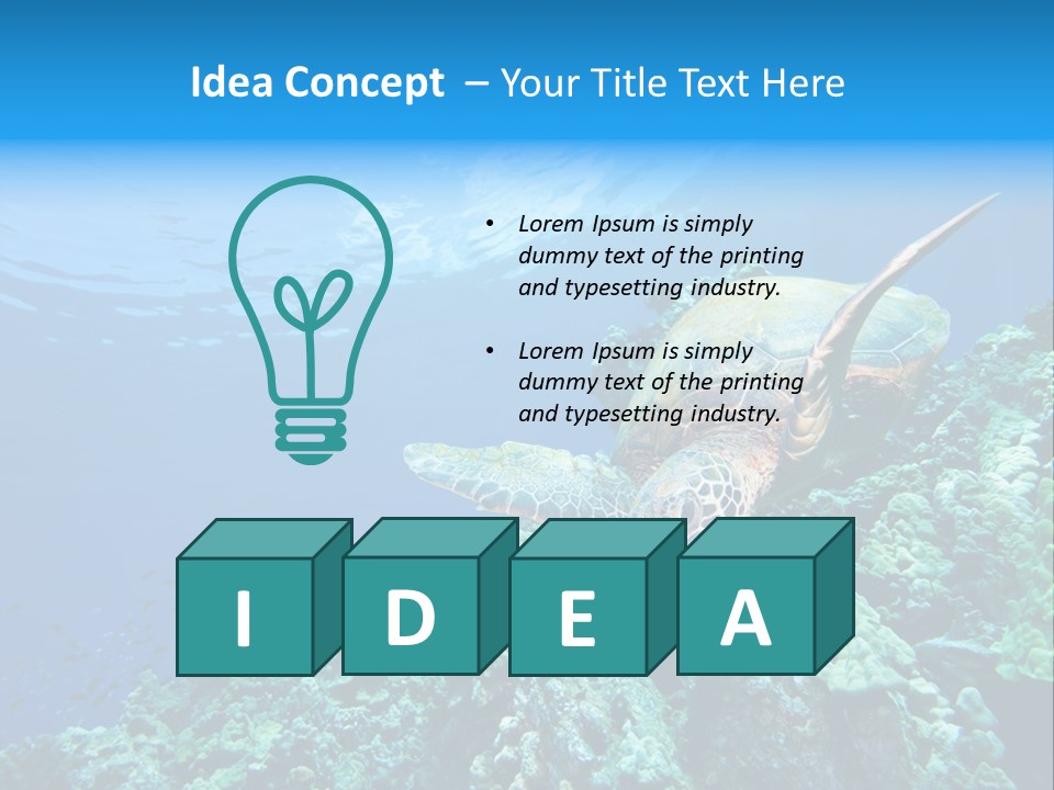 A Turtle Swimming Over A Coral Reef In The Ocean PowerPoint Template