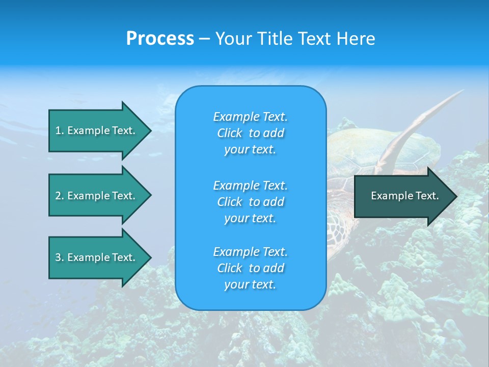 A Turtle Swimming Over A Coral Reef In The Ocean PowerPoint Template