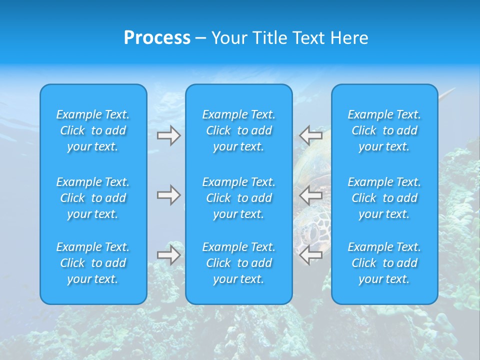 A Turtle Swimming Over A Coral Reef In The Ocean PowerPoint Template