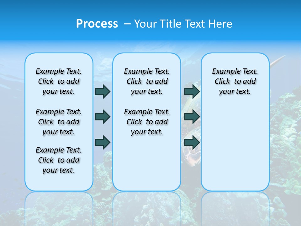A Turtle Swimming Over A Coral Reef In The Ocean PowerPoint Template