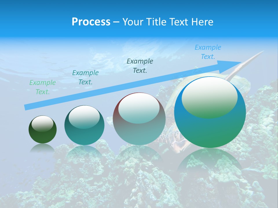 A Turtle Swimming Over A Coral Reef In The Ocean PowerPoint Template