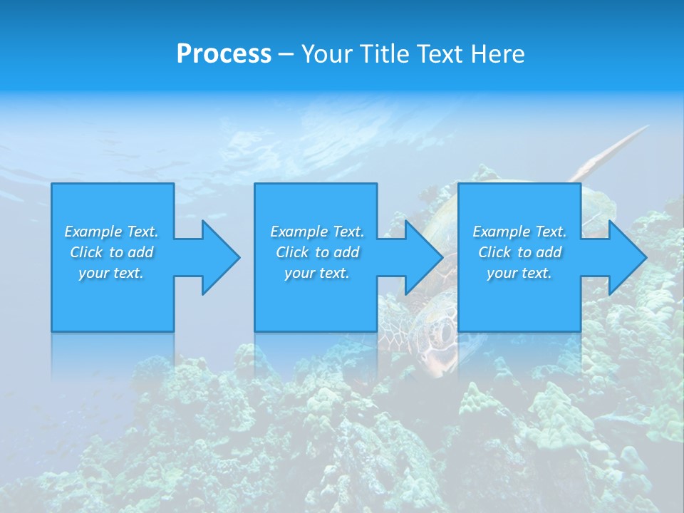 A Turtle Swimming Over A Coral Reef In The Ocean PowerPoint Template