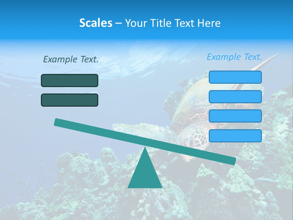 A Turtle Swimming Over A Coral Reef In The Ocean PowerPoint Template
