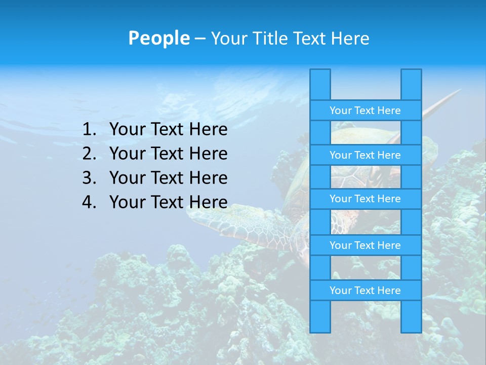 A Turtle Swimming Over A Coral Reef In The Ocean PowerPoint Template