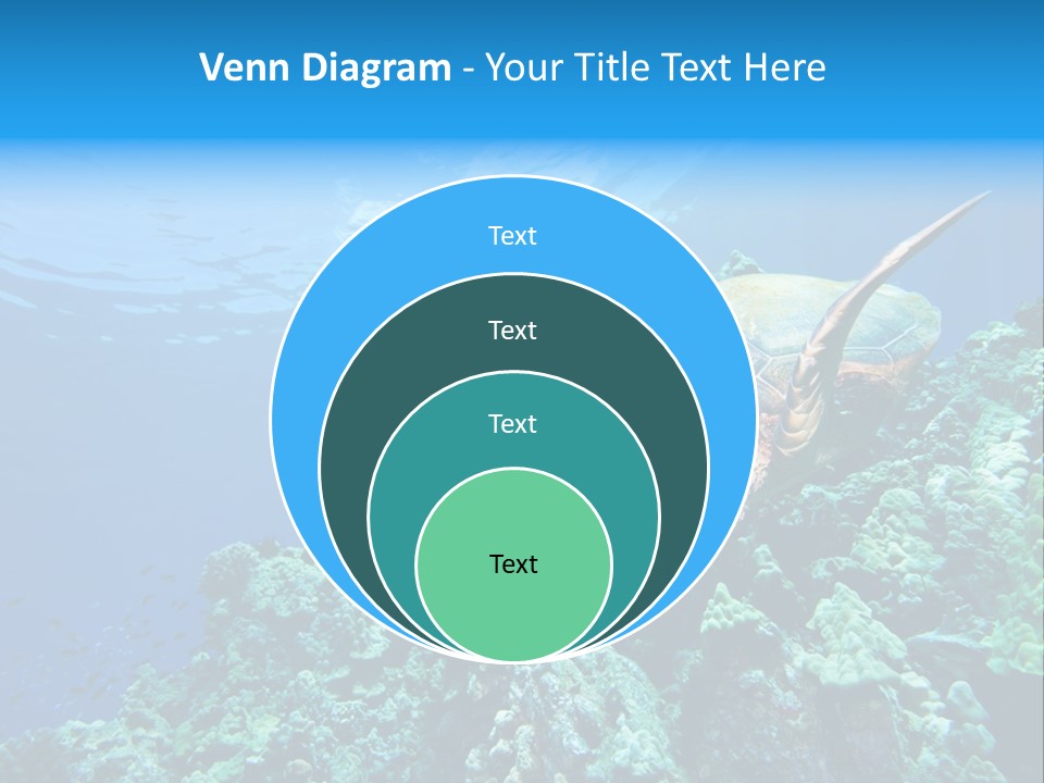 A Turtle Swimming Over A Coral Reef In The Ocean PowerPoint Template