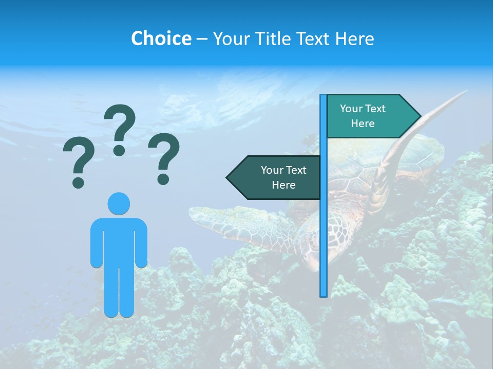 A Turtle Swimming Over A Coral Reef In The Ocean PowerPoint Template