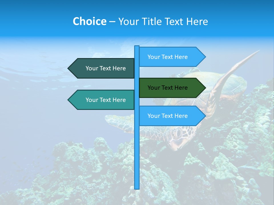 A Turtle Swimming Over A Coral Reef In The Ocean PowerPoint Template