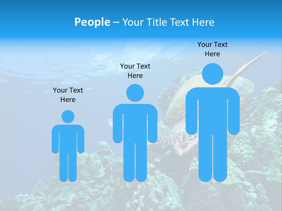 A Turtle Swimming Over A Coral Reef In The Ocean PowerPoint Template