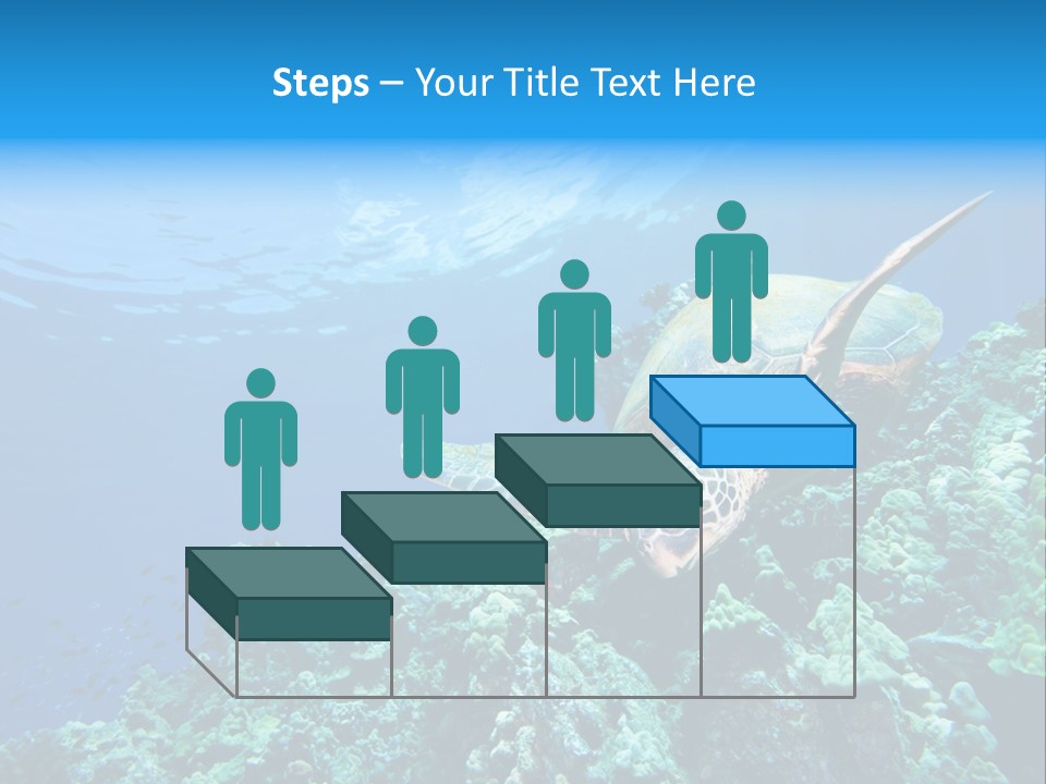 A Turtle Swimming Over A Coral Reef In The Ocean PowerPoint Template