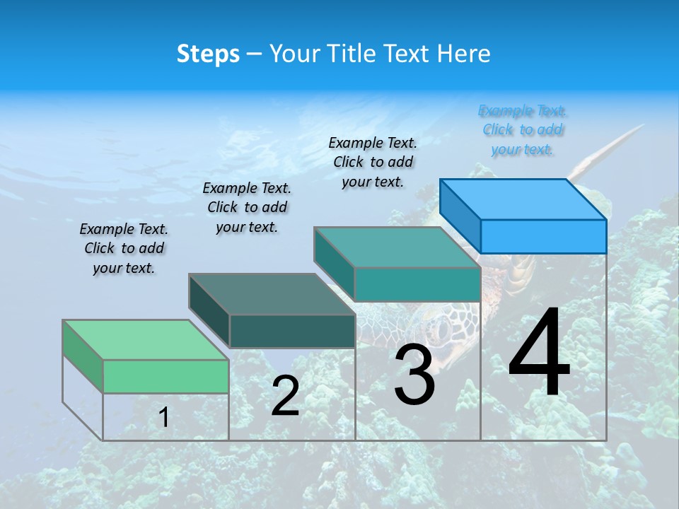 A Turtle Swimming Over A Coral Reef In The Ocean PowerPoint Template